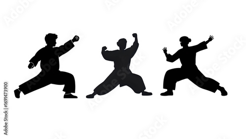Shaolin silhouette isolated with cartoon vector illustration on transparent background