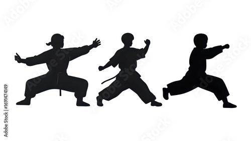 Shaolin silhouette isolated with cartoon vector illustration on transparent background