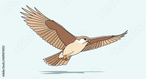 Majestic brown falcon illustration with outstretched wings and red eyes in mid-flight.