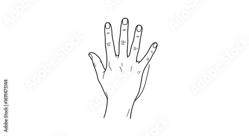Minimalist black line art of a human hand with fingers spread open, showing knuckles and nails.