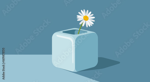 Light blue rounded cube vase holding a single white daisy flower with yellow center.