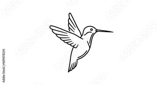 Line Art Illustration of a Hummingbird in Flight
