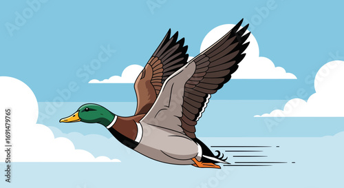 Cartoon Mallard Duck Flying with Wings Spread Against Blue Sky