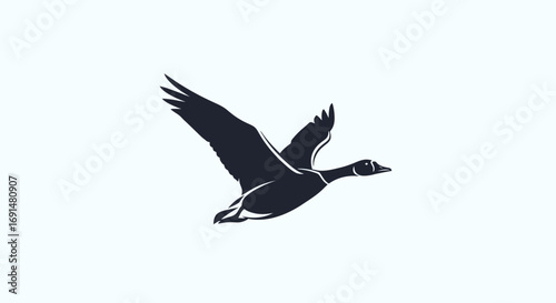 Silhouette of a Canada Goose in Flight, Wings Spread Wide