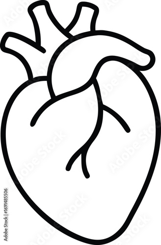 Anatomical heart in outline style for medical and health designs
