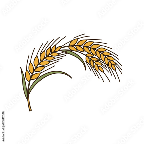 Golden Wheat Stalks Harvest Illustration.
