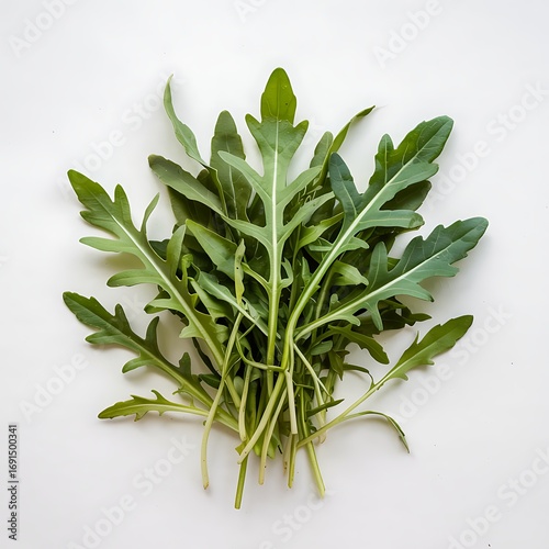 Fresh arugula isola bunch ultra detailed close up vibrant green leafy greens healthy food ingredient