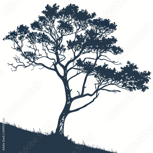 Silhouette of a solitary tree on a sloping hill.