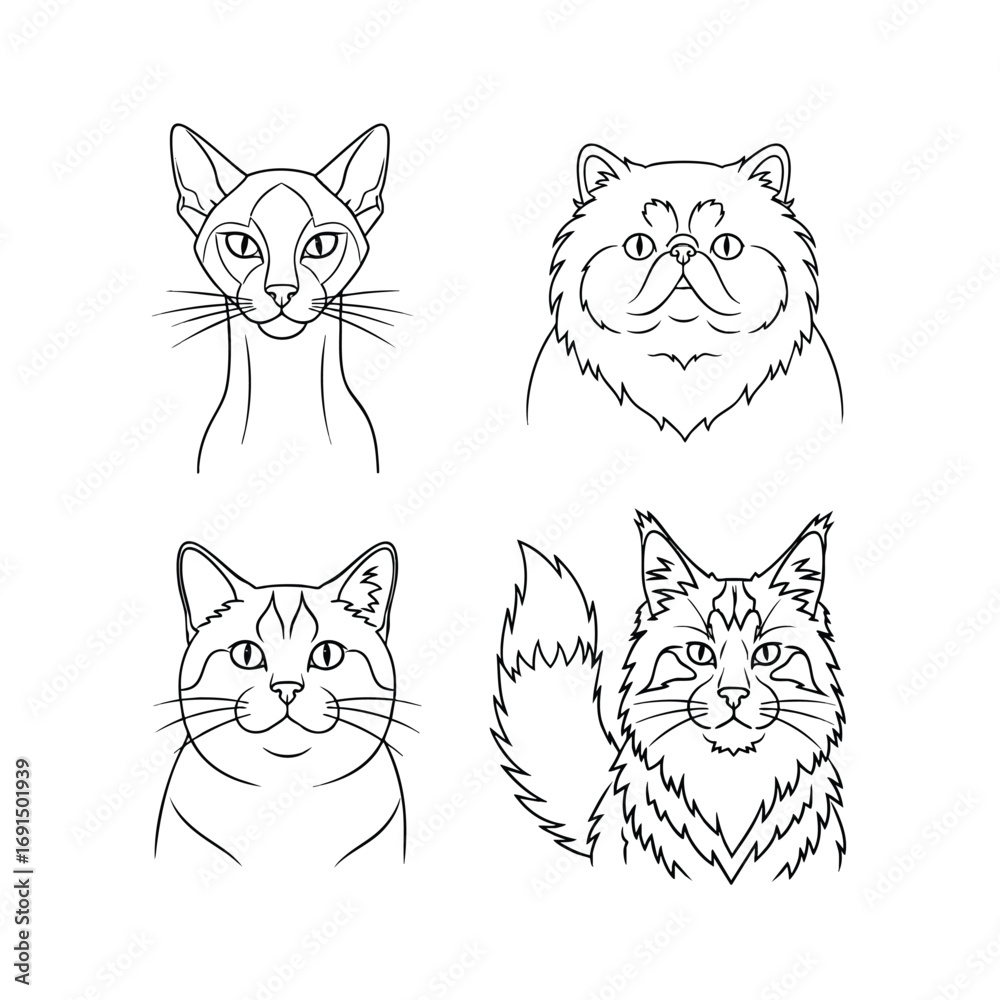 Fototapeta premium A collection of four different cat breed portraits in a black and white line art style.