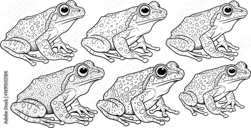 Blue ink frog illustration, stylized amphibian sketch, detailed frog pattern artwork, hand-drawn frog texture study, artistic biology reference