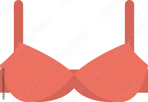 Women's Lingerie Icon