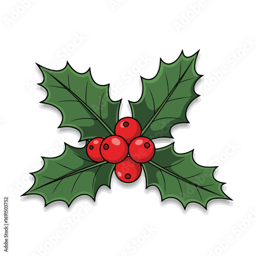 Festive Holly Berries and Leaves Illustration.