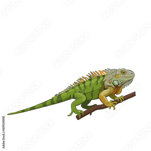 A detailed illustration of a green iguana perched on a tree branch