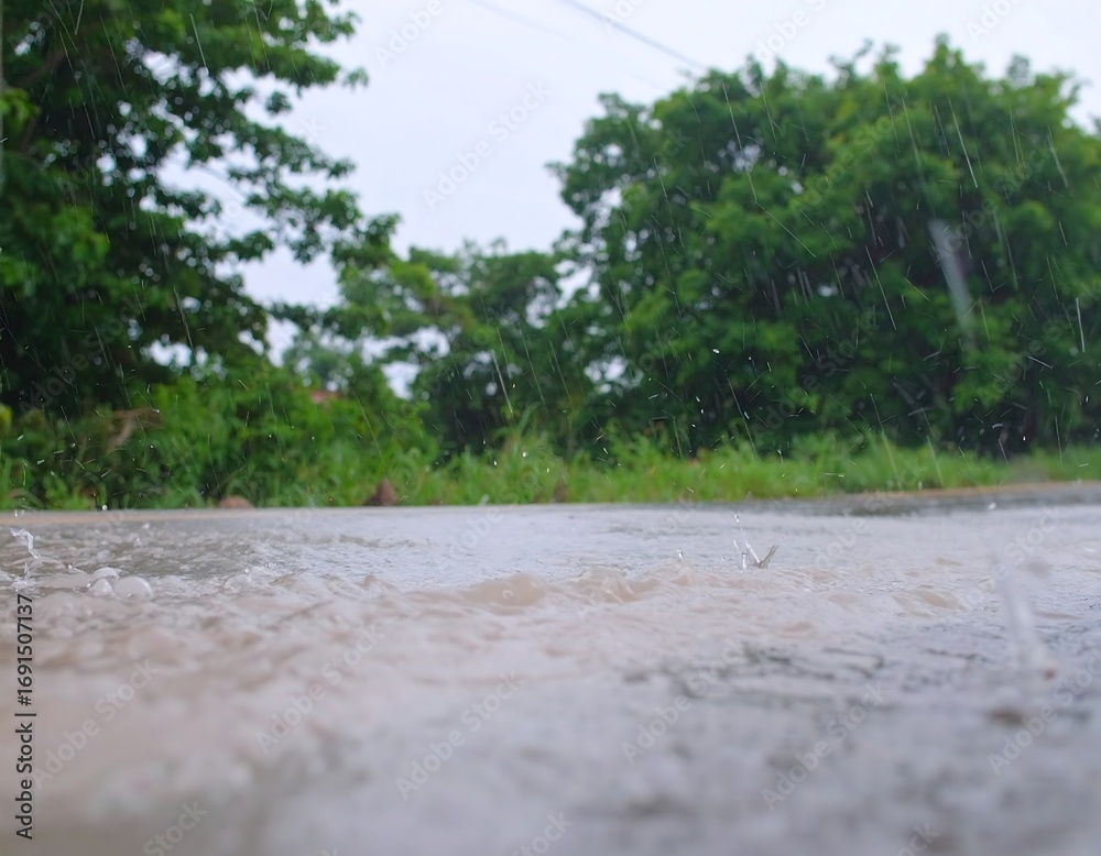 Fototapeta premium Rain on a road