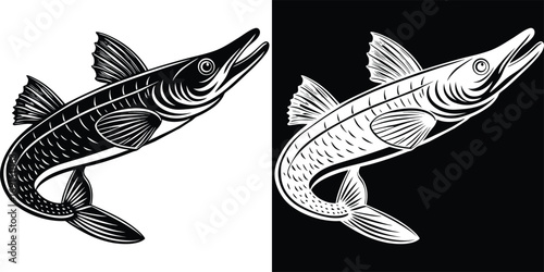 Dynamic barracuda fish illustration in striking black and white, perfect for aquatic sport or seafood branding