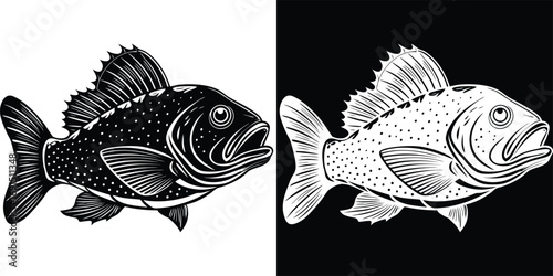 Captivating black and white fish illustrations ready for your next aquatic design project