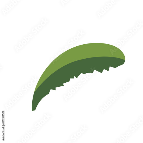 Curved tropical banana leaf illustration, natural exotic element for gardens, jungles, and eco-friendly designs.
