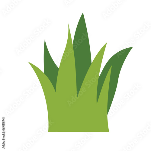 Green grass blades illustration, natural outdoor element perfect for gardens, parks, and eco-friendly landscape design projects.