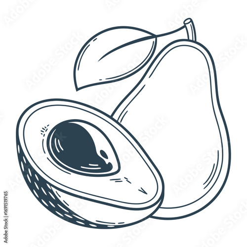 Avocado halves with seed and leaf, hand-drawn illustration, isolated on white.