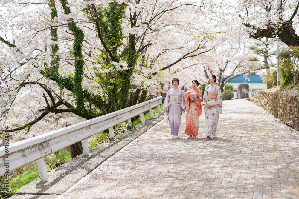 Fototapeta premium Three women in traditional Japanese clothing walk down a path lined with cherry blossoms. The scene is serene and peaceful, with the women enjoying the beauty of the flowers and the quiet surroundings