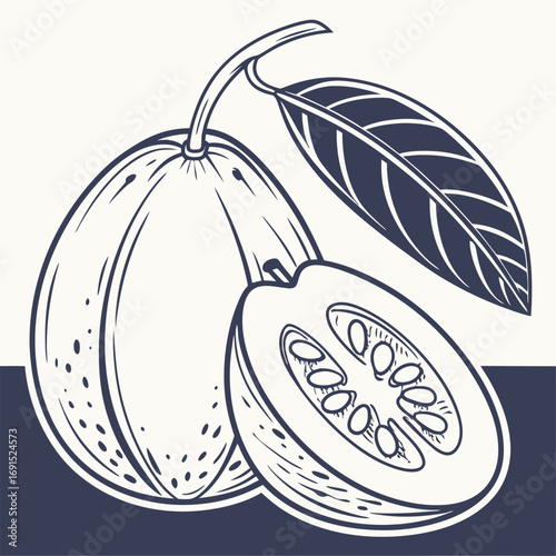Monochrome line art illustration of tropical guava fruit.