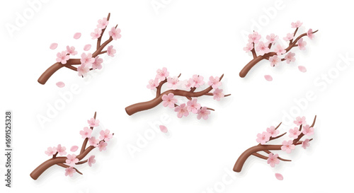 Set of five elegant pink cherry blossom branches with scattered delicate petals, offering a beautiful floral design element for spring-themed creations and projects
