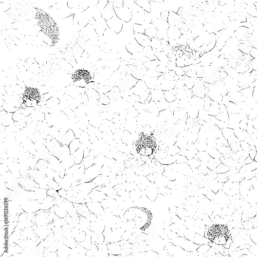 Seamless monochrome pattern featuring stylized dahlia flowers with intricate petal arrangements design