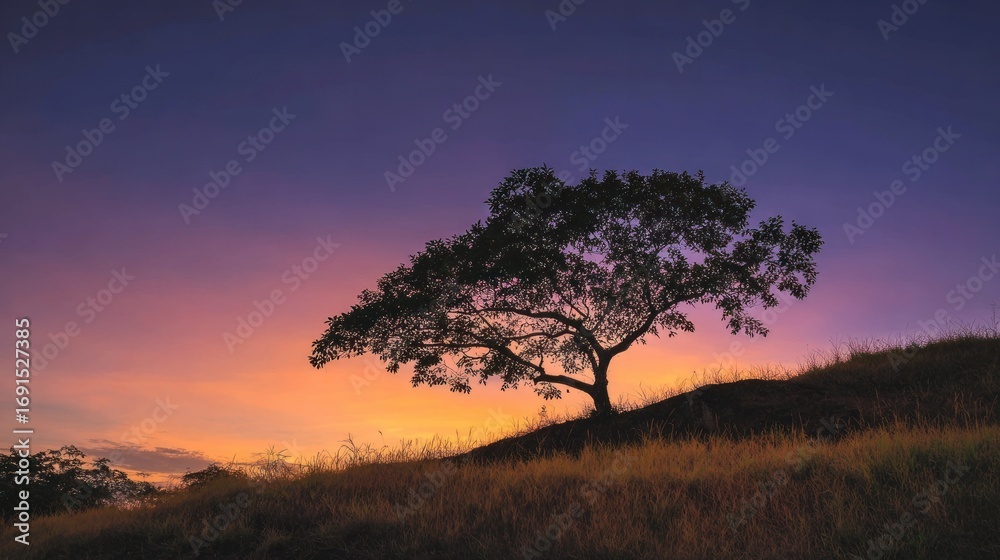 Fototapeta premium Silhouette tree sunset landscape
