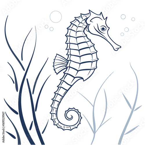Detailed Illustration of a Sea Horse.