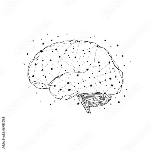 Illustration of a human brain with a network of stars and lines connecting them on a white background