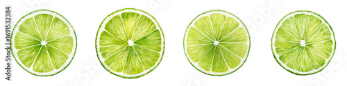 Lime Slice Collection: Watercolor Illustration of Citrus Fruit