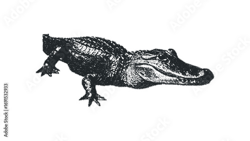 Stippled Alligator Image on Transparent Background. Vector hand drawn illustration