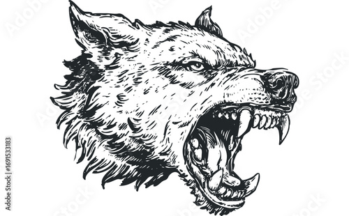 Ferocious Wolf Head with Bared Fangs Image. Vector hand drawn illustration