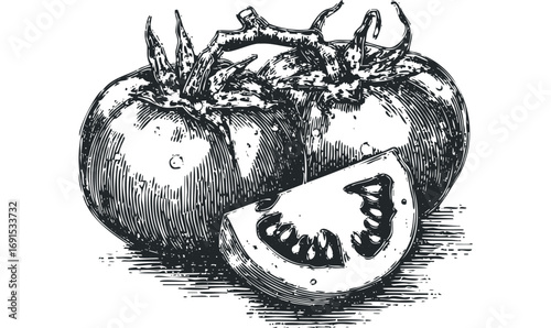 Two ripe tomatoes with one sliced in half, isolated on a white background. Vector hand drawn illustration