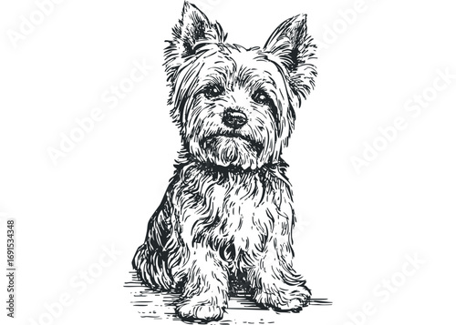 Scruffy Terrier Dog Sitting, Hand Drawn Sketch. Vector hand drawn illustration