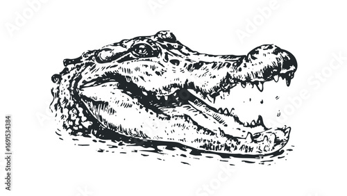 Ink drawing of an open-mouthed alligator head on transparent background. Vector hand drawn illustration