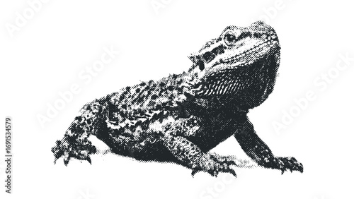 Bearded Dragon Lizard Halftone Texture. Vector hand drawn illustration