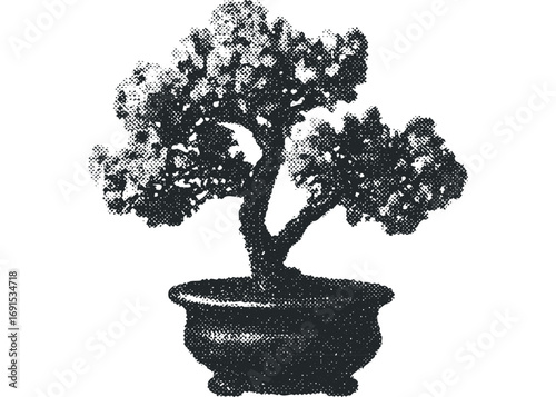 Halftone style potted bonsai tree, isolated on white. Vector hand drawn illustration