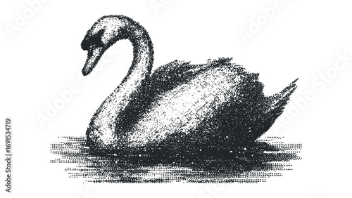 Halftone Swan Floating on Water Image. Vector hand drawn illustration