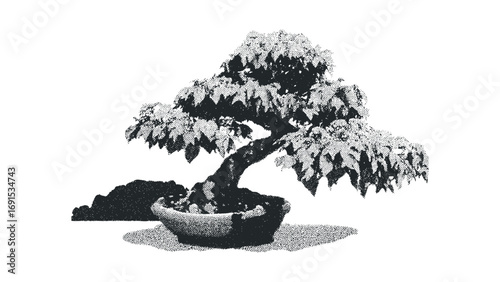 Halftone dot art of a potted bonsai tree on a transparent background. Vector hand drawn illustration
