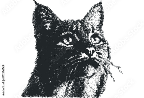 Monochromatic Cat Face Textured Graphic. Vector hand drawn illustration