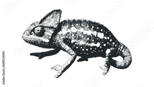 Chameleon reptile in grayscale dot texture on transparent background. Vector hand drawn illustration