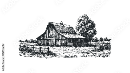 Barn with tree and wooden fence in grassy field, ink sketch on transparent background. Vector hand drawn illustration