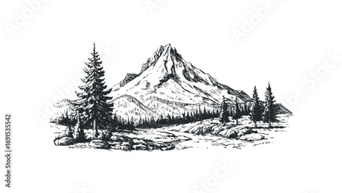 Hand drawn sketch of a majestic mountain peak with pine trees and a river on a transparent background. Vector hand drawn illustration