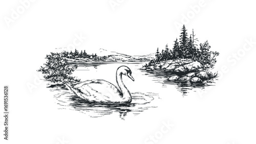 Elegant swan glides serenely on a rippling lake surrounded by trees. Vector hand drawn illustration