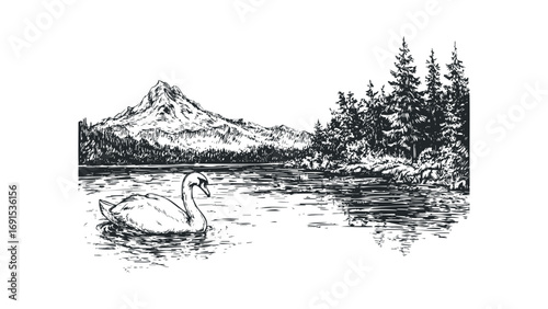 Pensive Swan Gliding on Lake with Majestic Mountains and Pine Forest. Vector hand drawn illustration