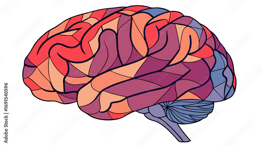 Fototapeta premium human brain vector illustration