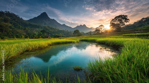 Sun rays over verdant rice paddies and a tranquil pool, shadowed by distant mountains under a partly cloudy sky in an idyllic rural setting