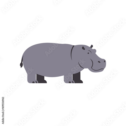 Flat vector illustration of a hippopotamus standing with side profile, minimalistic cartoon design, simple wildlife character isolated