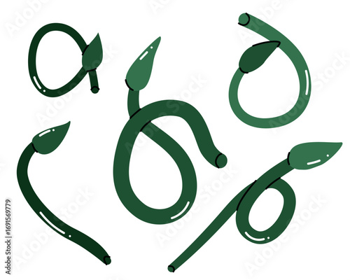 Garlic scapes. Garlic shoots for salad. Garlic arrows.  Allium sativum. Fragrant garlic spears for canning. Fresh harvest graphics for posters, stickers, menus, farmers' markets. Fresh and healthy 